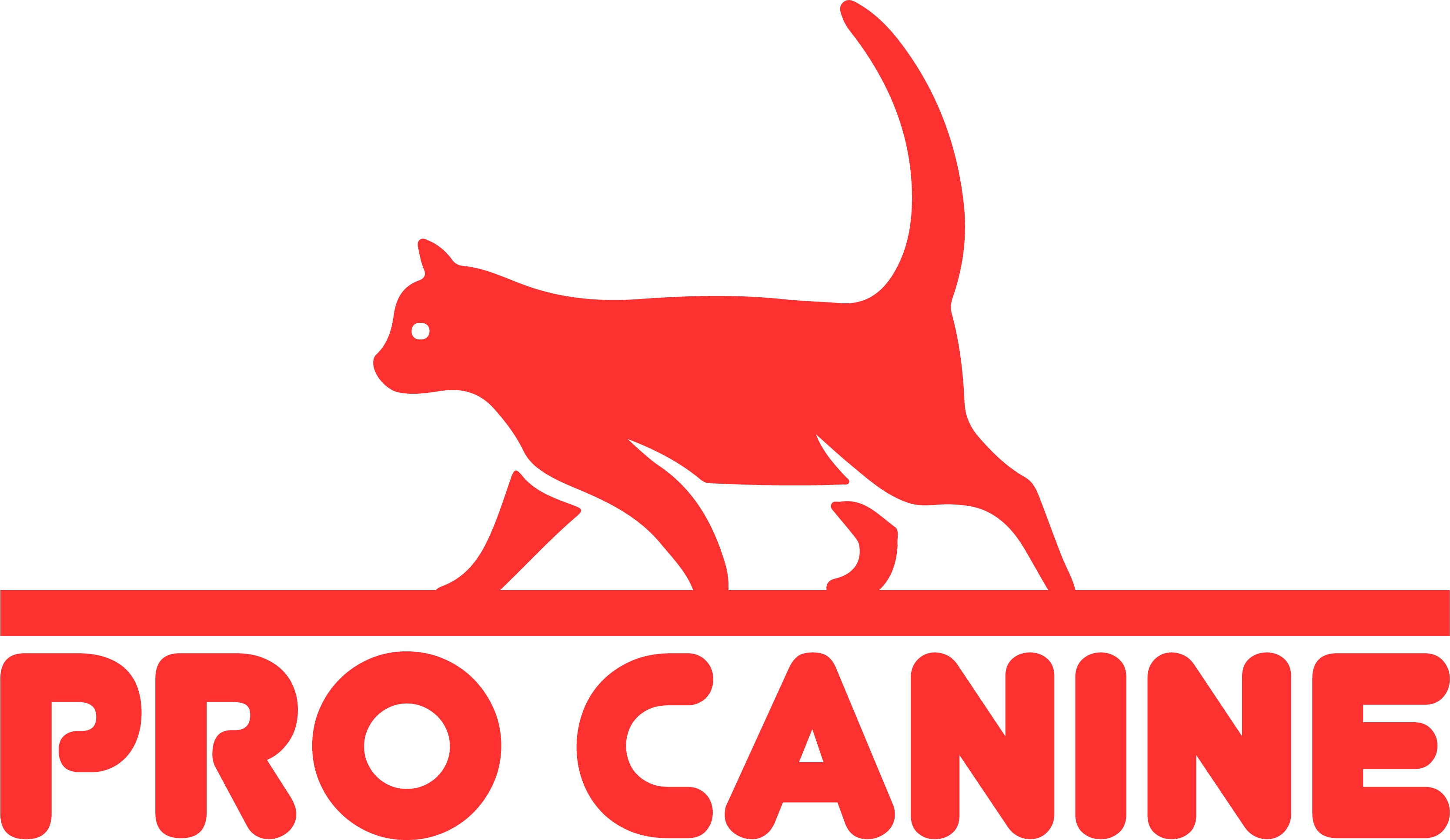 PRO CANİNE PROFESSİONAL  GURME  KİTTEN KEDİ MAMASI 1,5 LT 